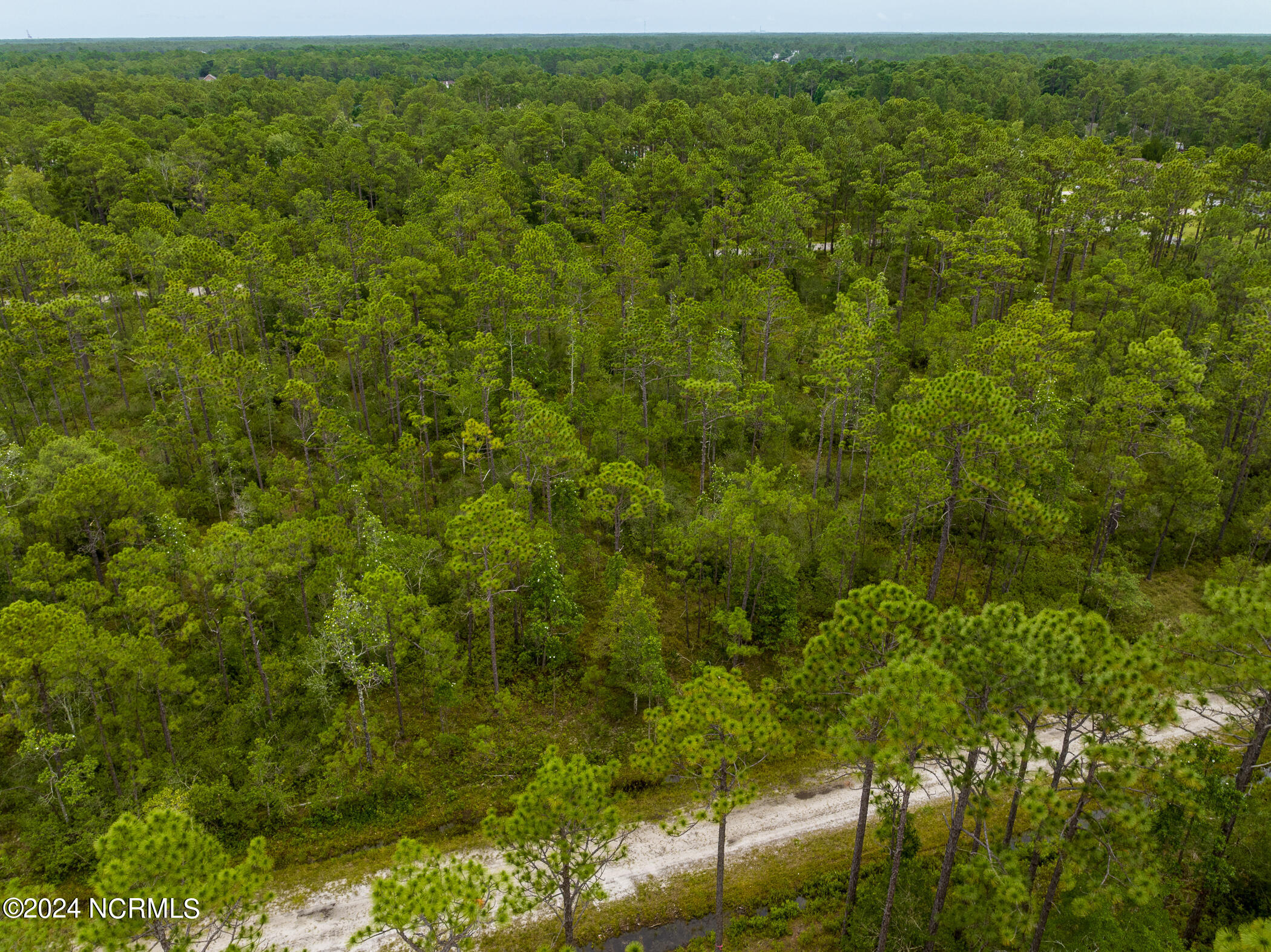 1140 Beech Road Boiling Spring Lakes, NC 28461 - Photo 5 of 25 Arial Beech Road