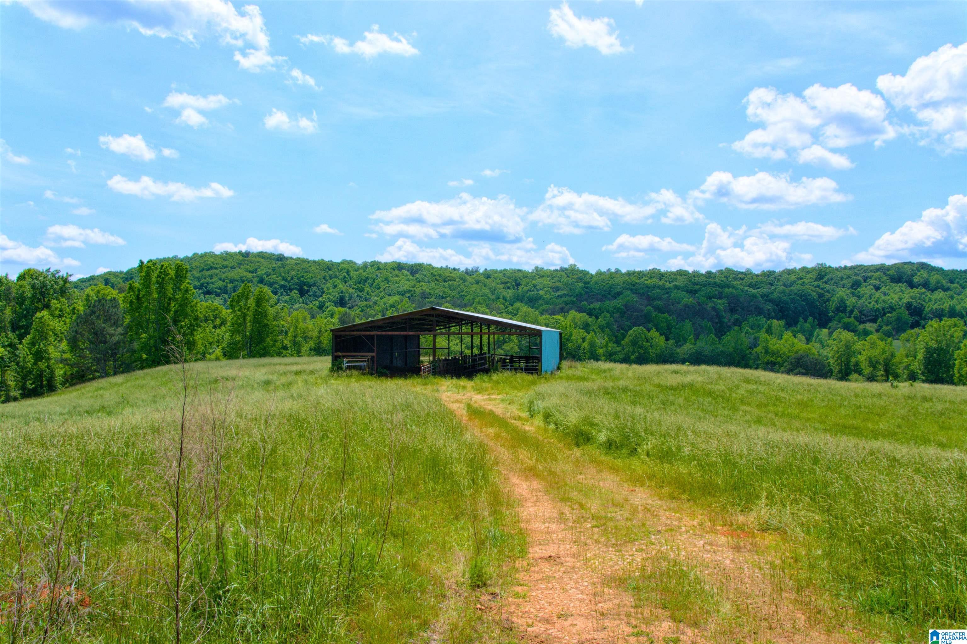 280 County Road 63 Ranburne, AL 36273 - Photo 37 of 43
