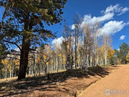 a view of a yard with trees