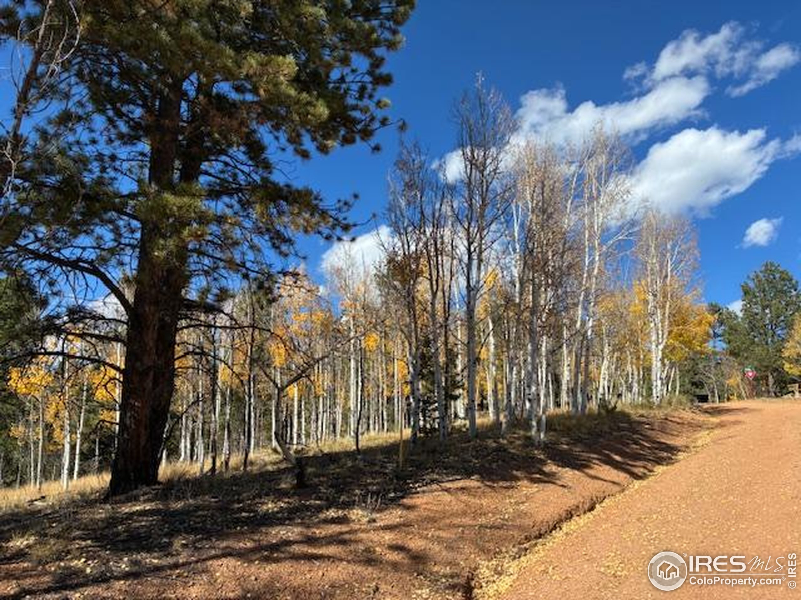 85 Remwood Circle Divide, CO 80814 - Photo 3 of 8