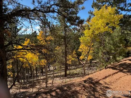 a view of outdoor space with trees