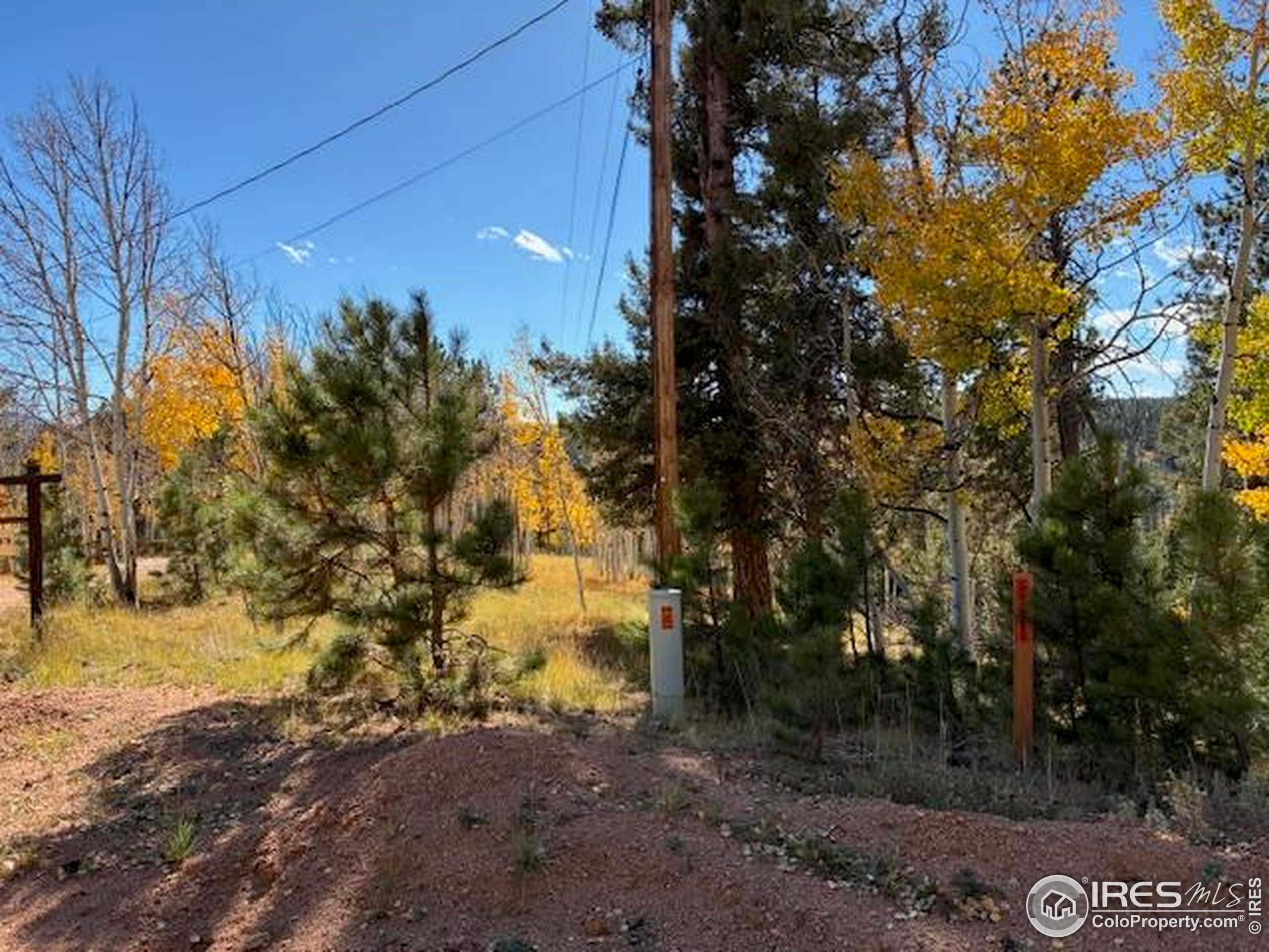 85 Remwood Circle Divide, CO 80814 - Photo 7 of 8 a view of outdoor space with trees