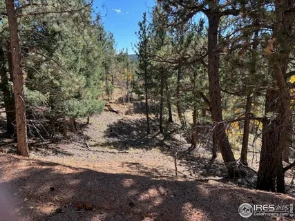 $78,000 | 85 Remwood Circle, Divide, CO 80814