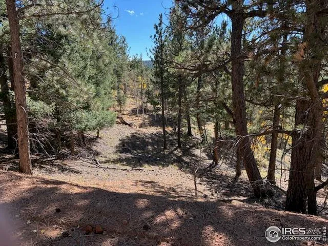 $78,000 | 85 Remwood Circle, Divide, CO 80814