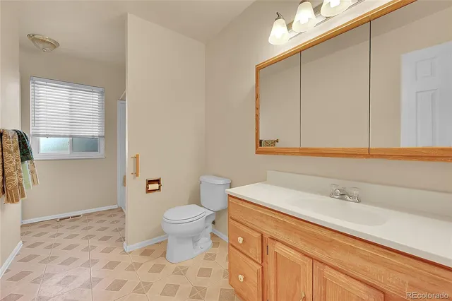 a bathroom with a sink and a toilet
