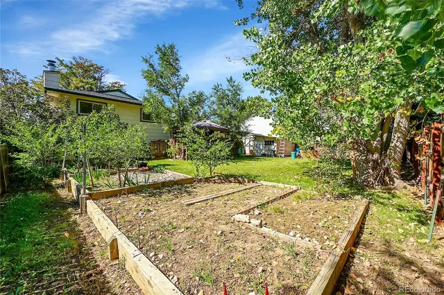 a view of a backyard with plants