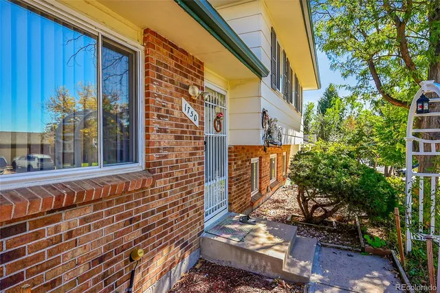 a view of a brick wall with a tree in front of it