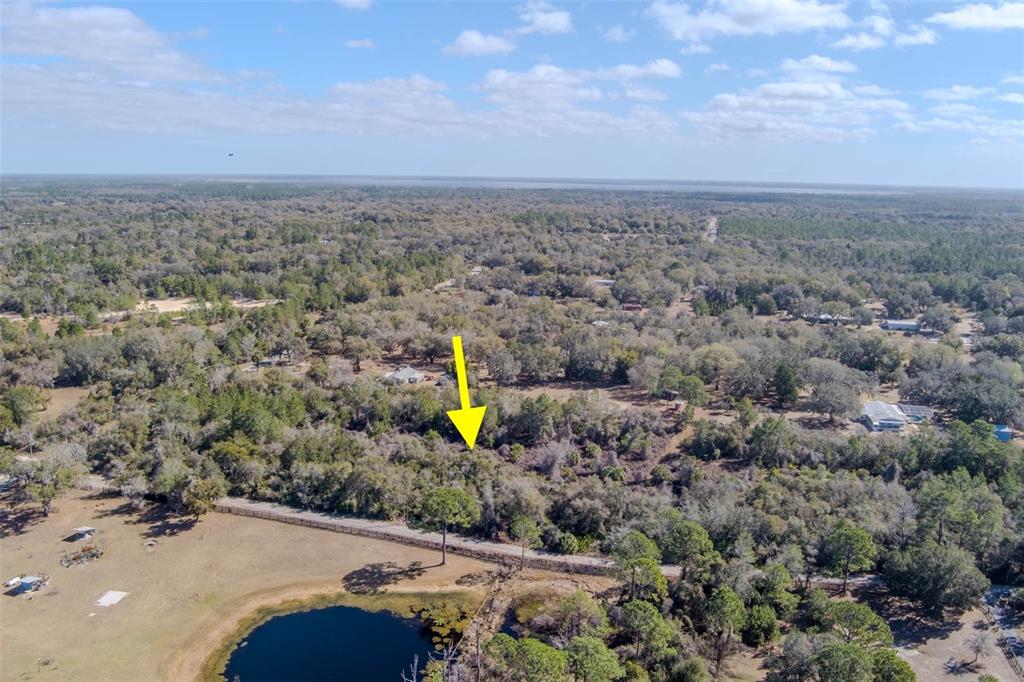 Cochran Road Geneva, FL 32732 - Photo 7 of 28 Gallery Image 7