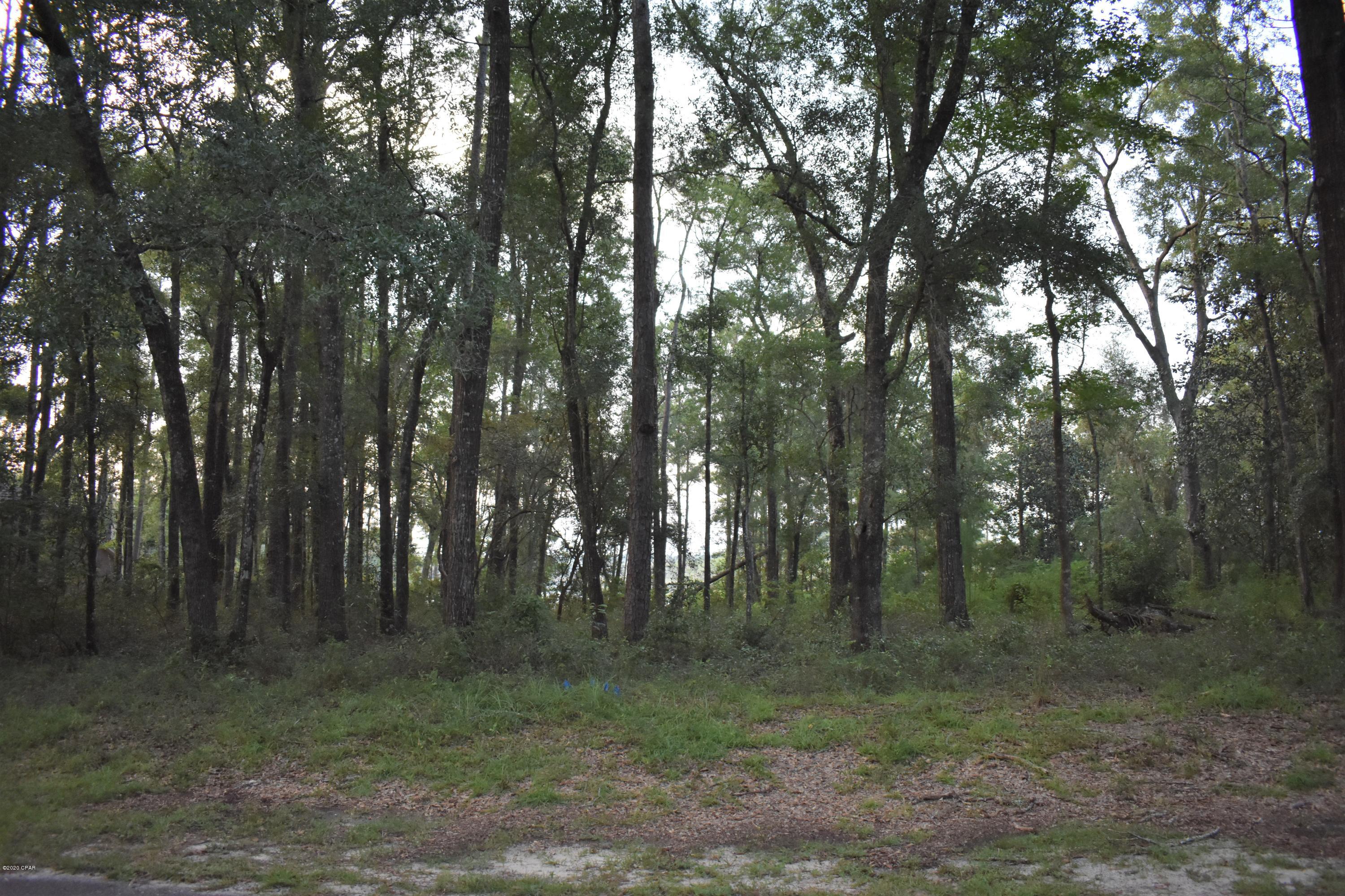 Lot #4 Paradise Lakes Road Chipley, FL 32428 - Photo 8 of 10