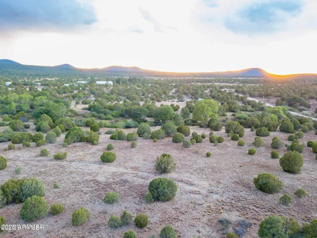 a view of a dry yard with mountain view
