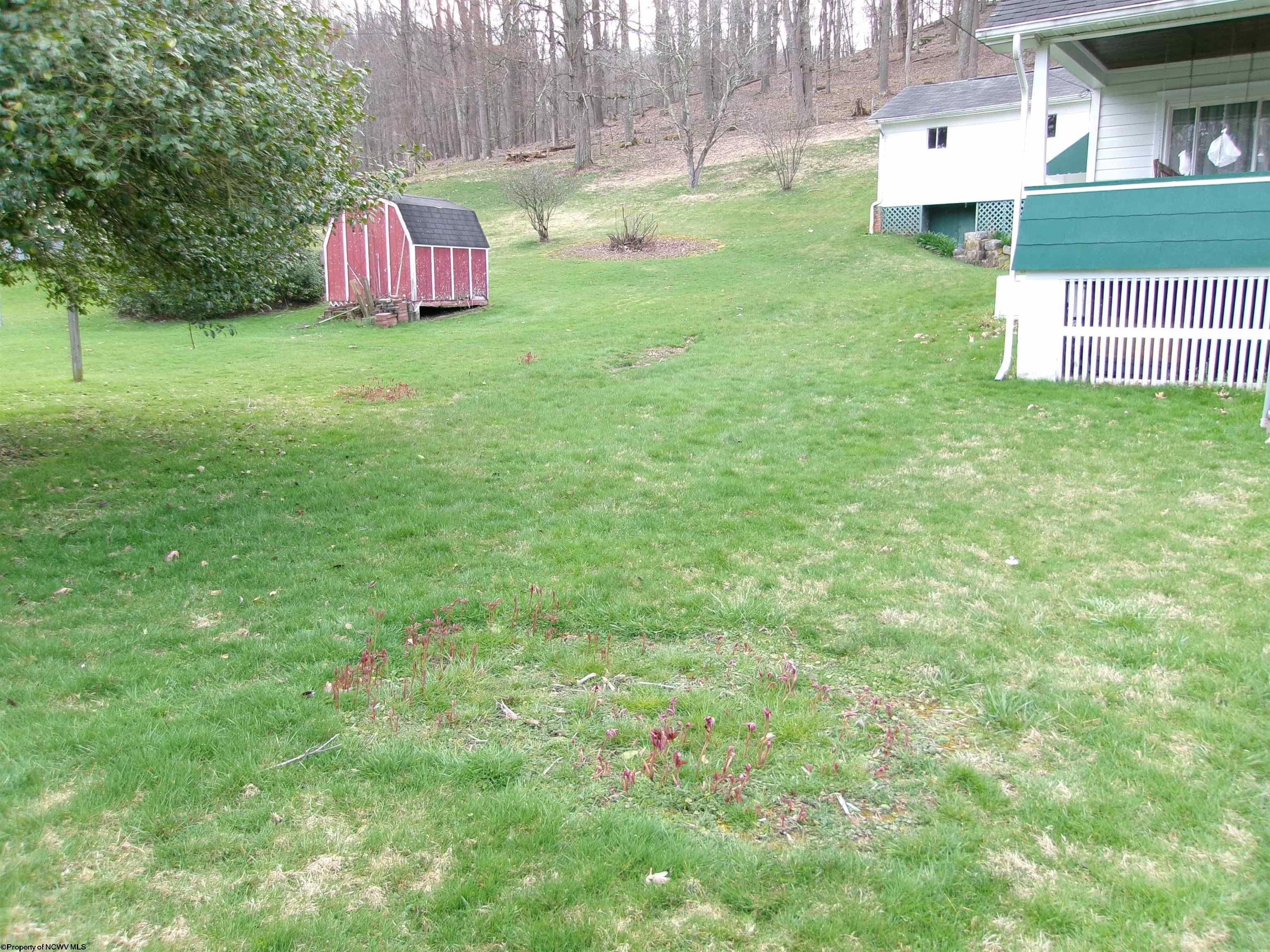 63 Bartrug Road Fairmont, WV 26554 - Photo 4 of 40 Gallery Image 4