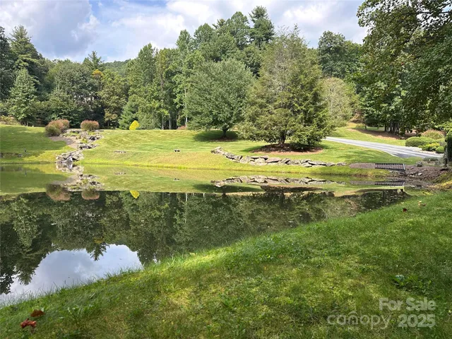 a view of a lake from a yard