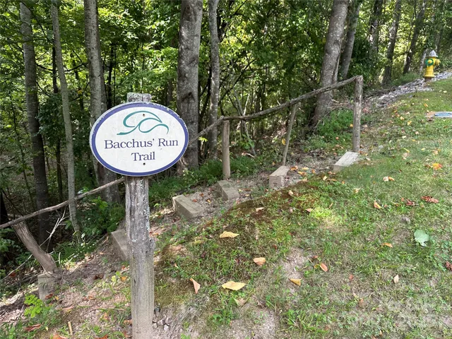 a view of a park with large trees
