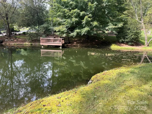a view of a swimming pool with a garden