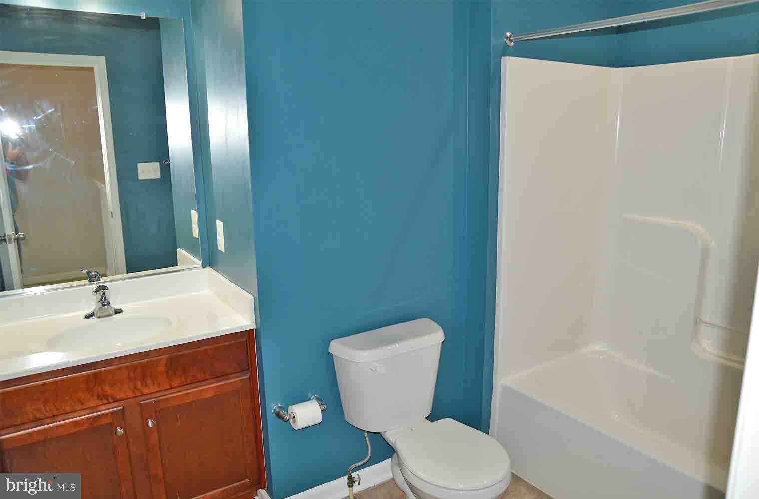 167 Bouldin Road Charles Town, WV 25414 - Photo 17 of 30 a bathroom with a sink toilet and shower