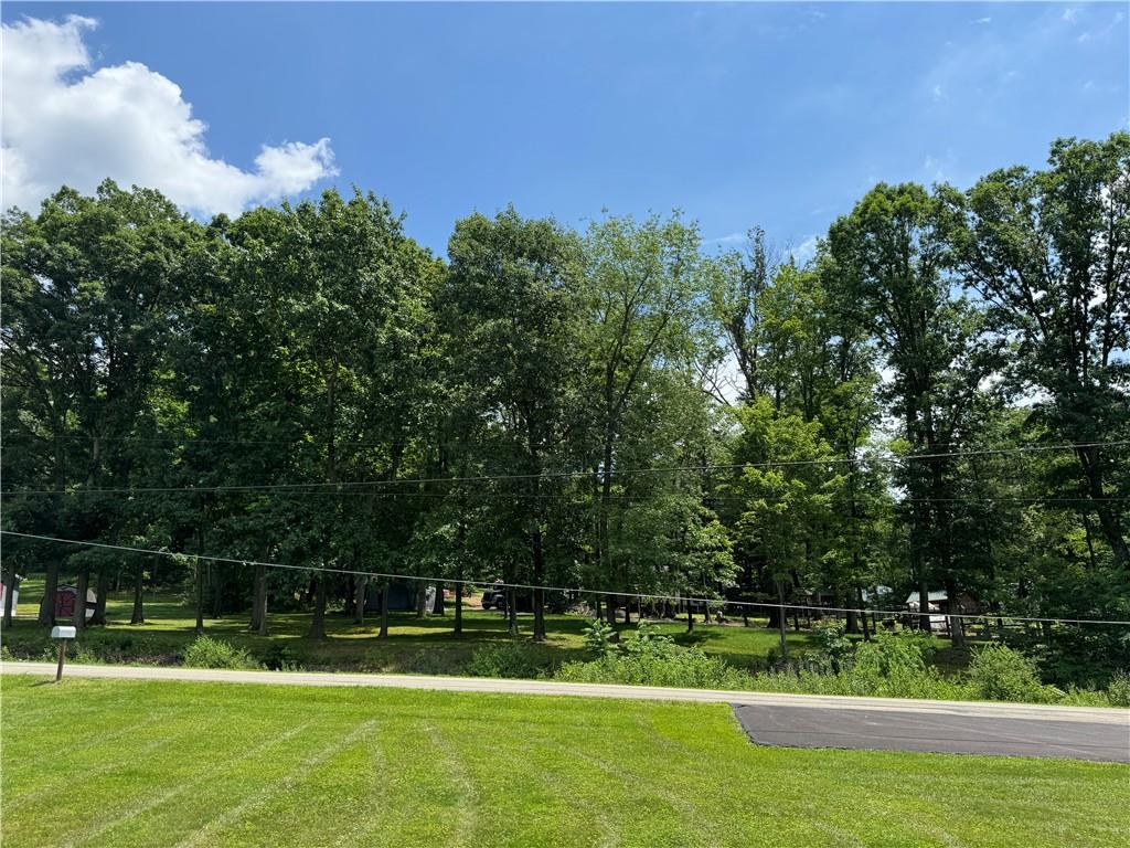 135 State Park Road New Alexandria, PA 15670 - Photo 16 of 16 view across the road