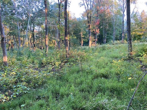 97 Haynes Hill Road Wales, MA 01081 - Photo 2 of 4 Gallery Image 2