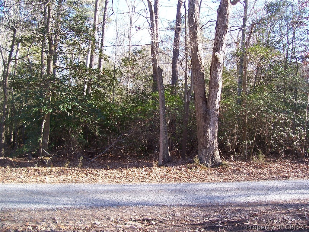 0 Moores Pointe Road Deltaville, VA 23043 - Photo 1 of 1