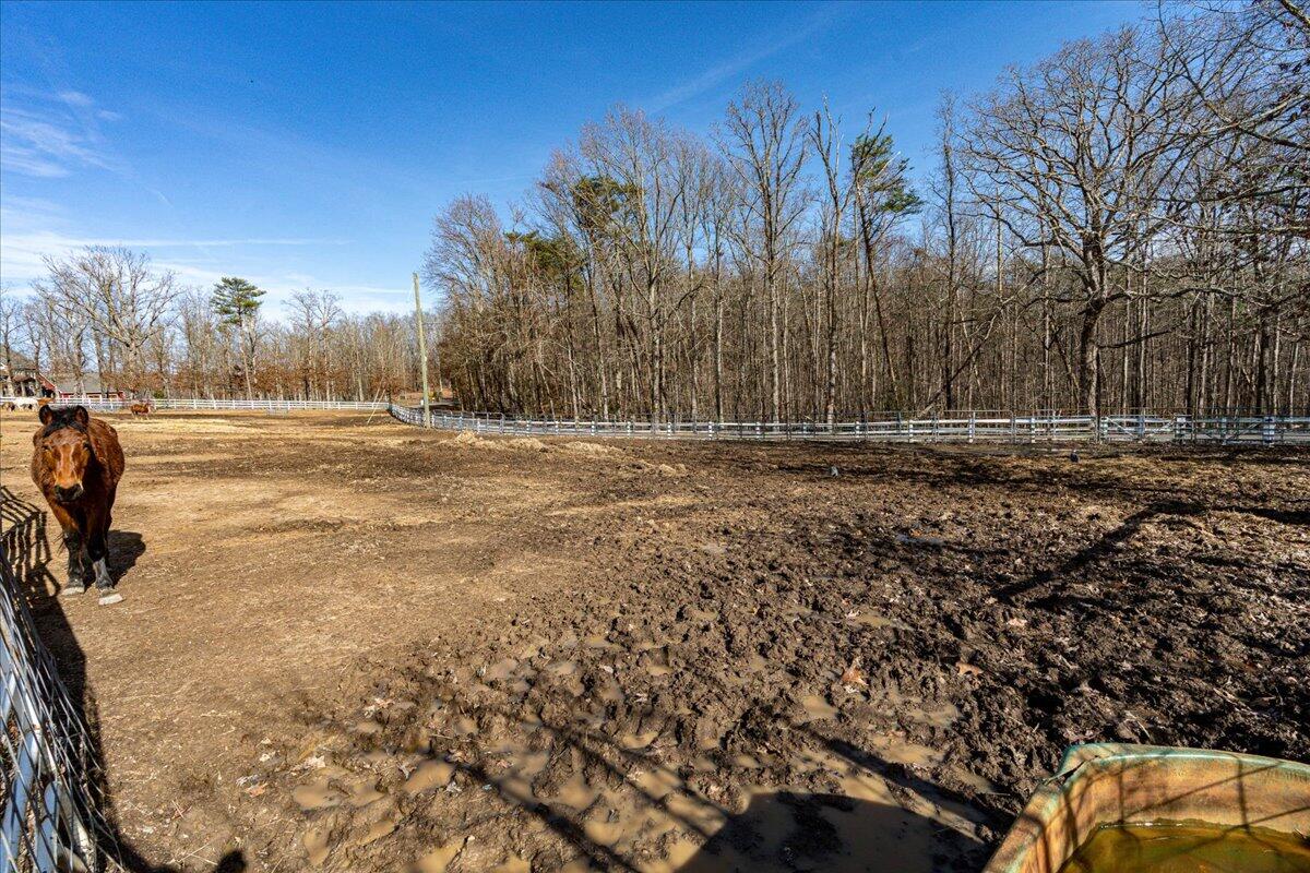 1617 Patton Road Signal Mountain, TN 37377 - Photo 13 of 86 12-1617 Patton Rd-83