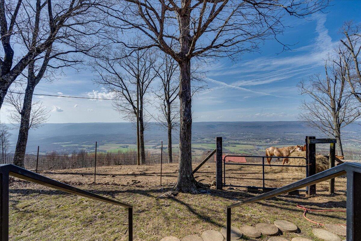 1617 Patton Road Signal Mountain, TN 37377 - Photo 36 of 86 36-1617 Patton Rd-21