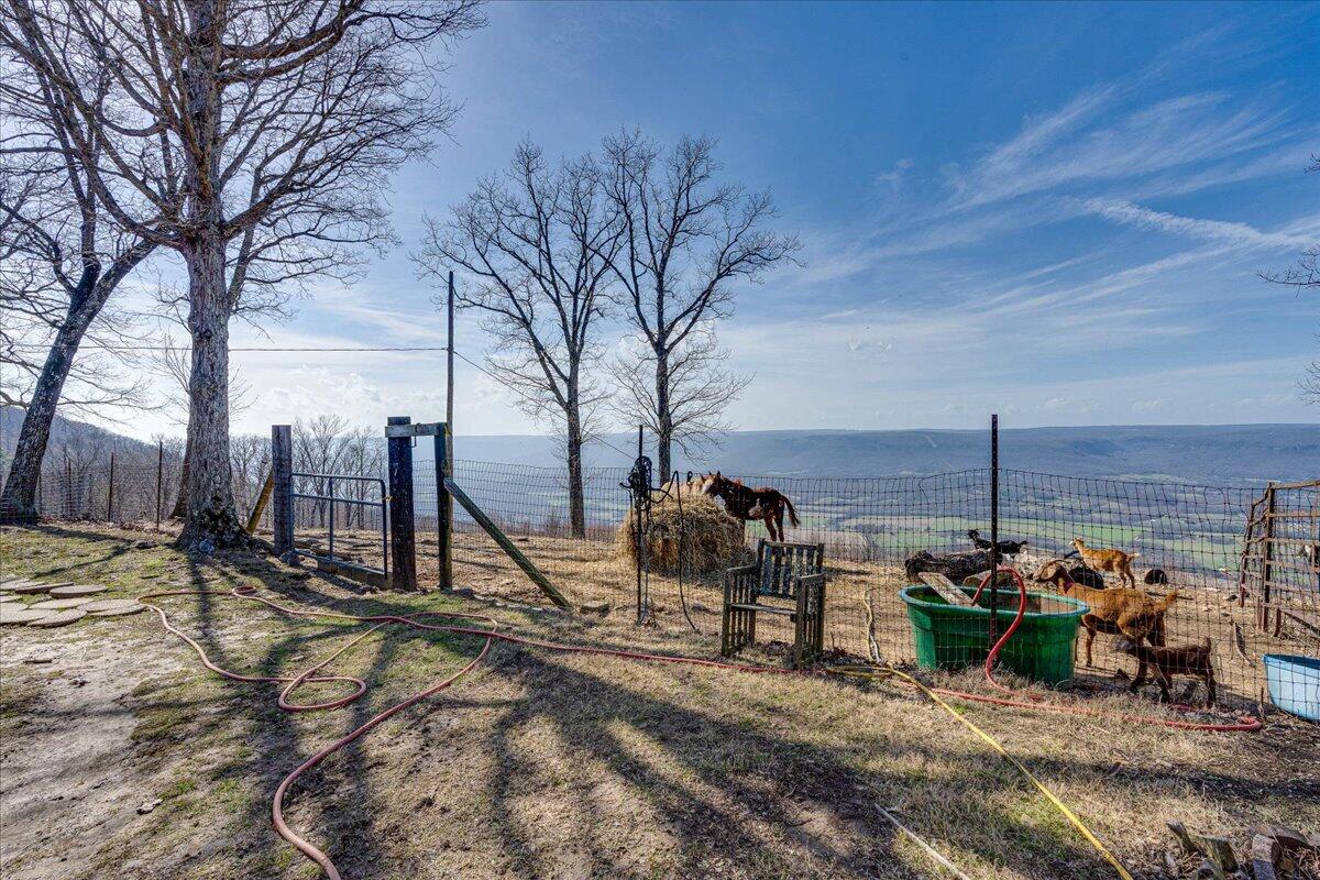 1617 Patton Road Signal Mountain, TN 37377 - Photo 37 of 86 37-1617 Patton Rd-22