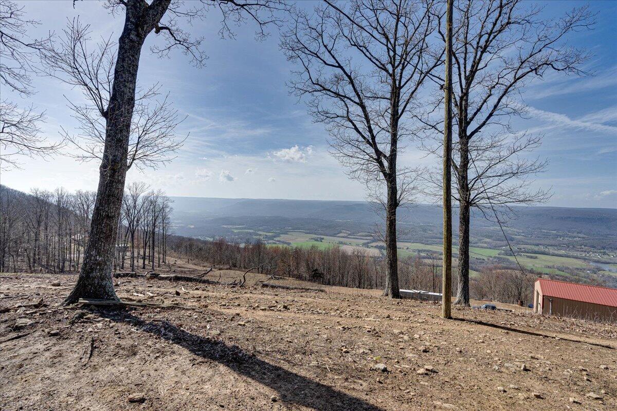 1617 Patton Road Signal Mountain, TN 37377 - Photo 38 of 86 38-1617 Patton Rd-23