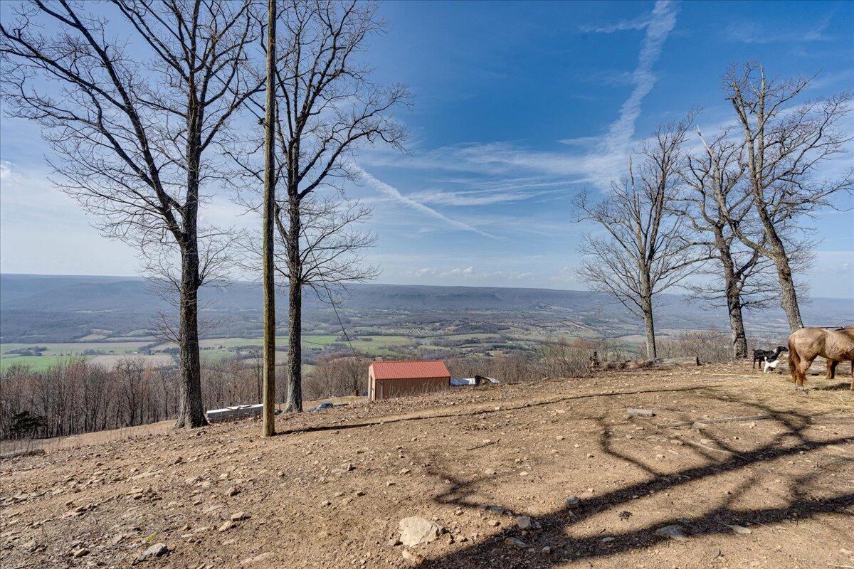 1617 Patton Road Signal Mountain, TN 37377 - Photo 39 of 86 39-1617 Patton Rd-24