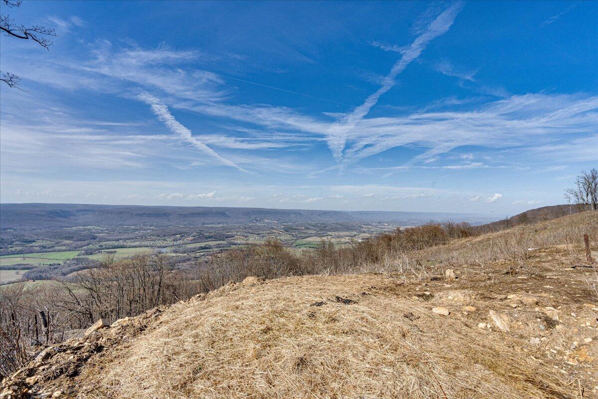 1617 Patton Road Signal Mountain, TN 37377 - Photo 46 of 86 46-1617 Patton Rd-31