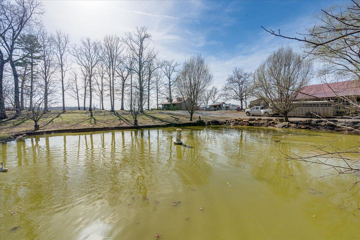 1617 Patton Road Signal Mountain, TN 37377 - Photo 55 of 86 55-1617 Patton Rd-40