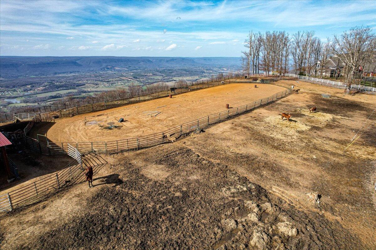 1617 Patton Road Signal Mountain, TN 37377 - Photo 84 of 86 84-1617 Patton Rd-69
