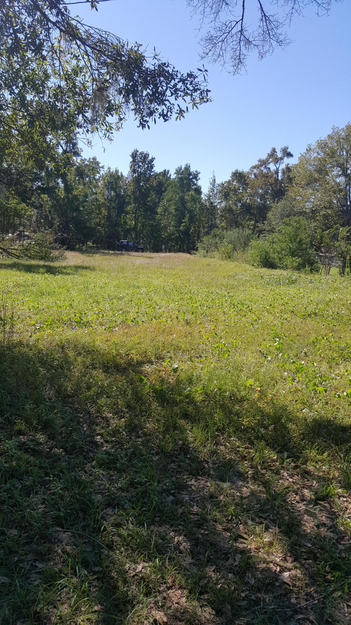 3530 Kitford Road Johns Island, SC 29455 - Photo 1 of 2 20171027_132130
