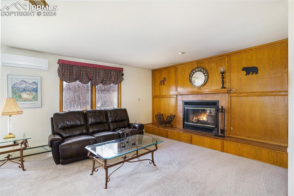 4315 Star Ranch Road Colorado Springs, CO 80906 - Photo 14 of 47 a living room with furniture and a fireplace