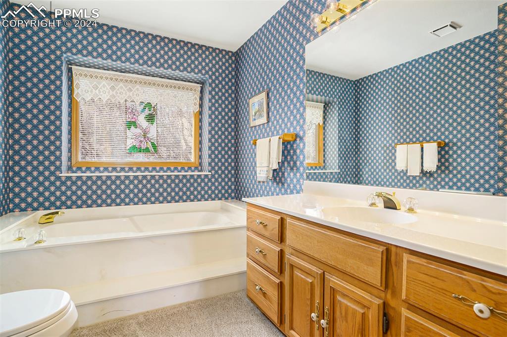 4315 Star Ranch Road Colorado Springs, CO 80906 - Photo 23 of 47 a bathroom with a sink a toilet and a bathtub