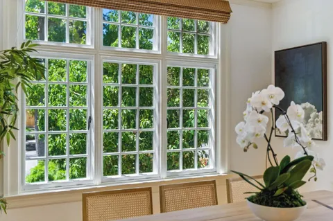 a view of a potted plant sitting in front of a window