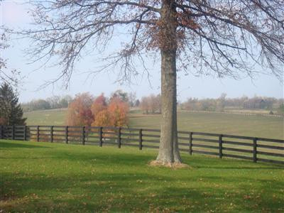 2529 Georgetown Road Paris, KY 40361 - Photo 7 of 9 Photo 7