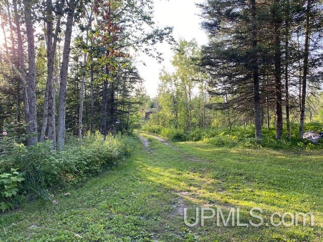 0 Co Rd Square Felch, MI 49831 - Photo 19 of 21