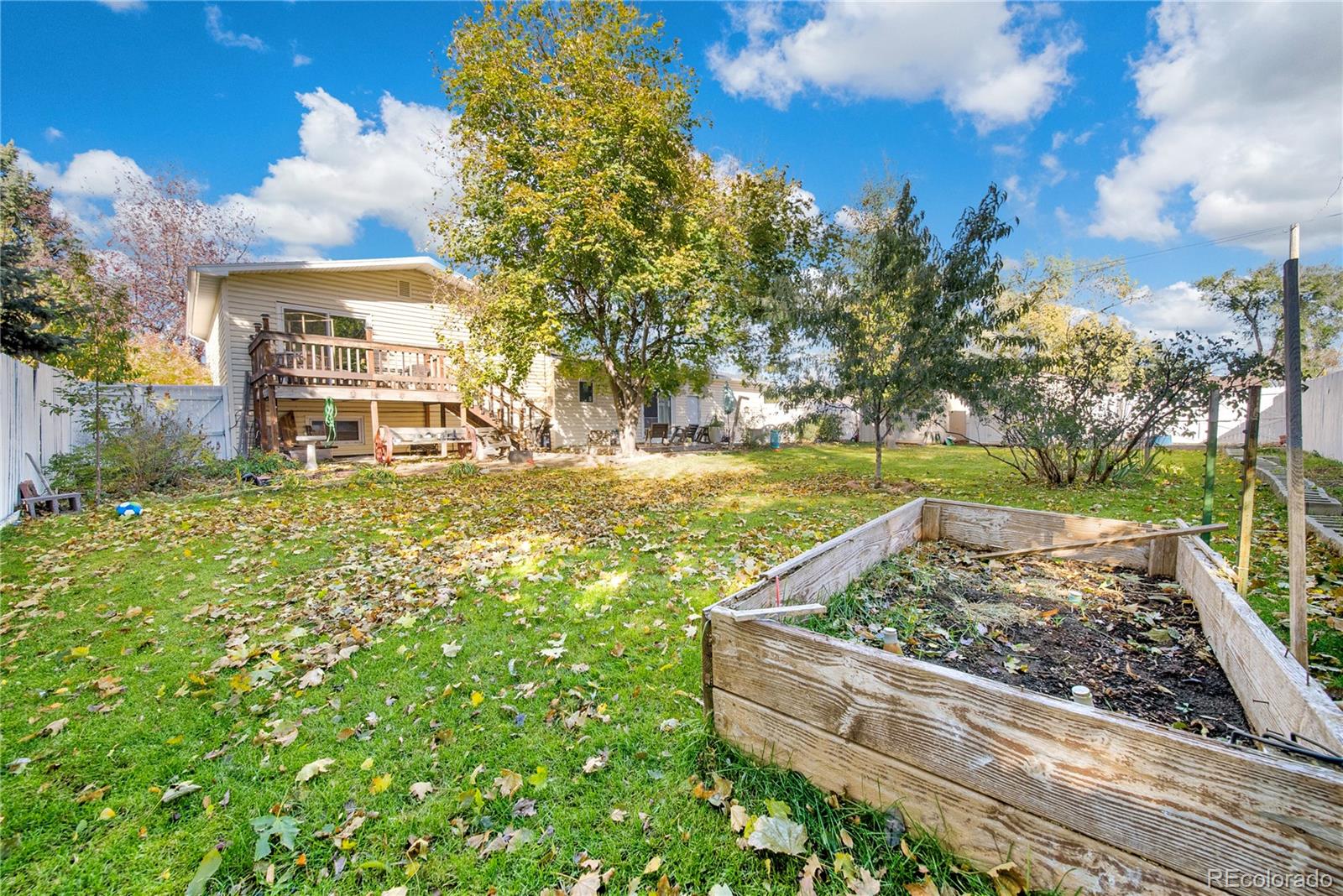 404 Hickory Street Fort Morgan, CO 80701 - Photo 35 of 37 a view of a yard with a tree