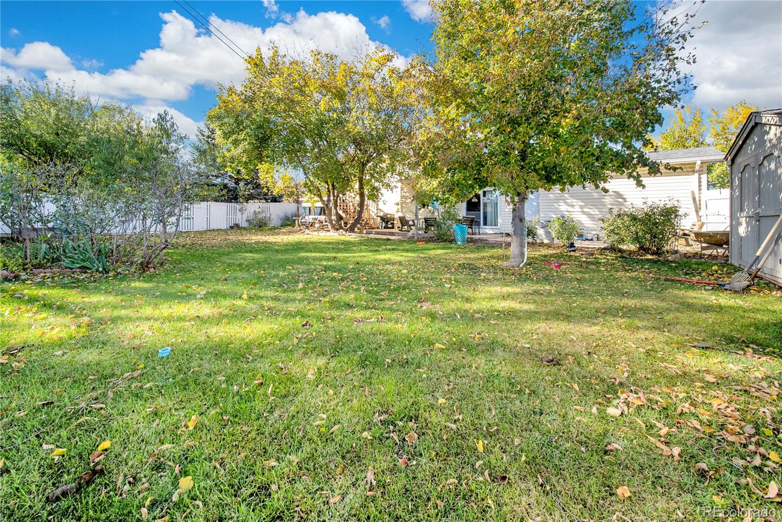 404 Hickory Street Fort Morgan, CO 80701 - Photo 37 of 37 a view of a trees in a yard