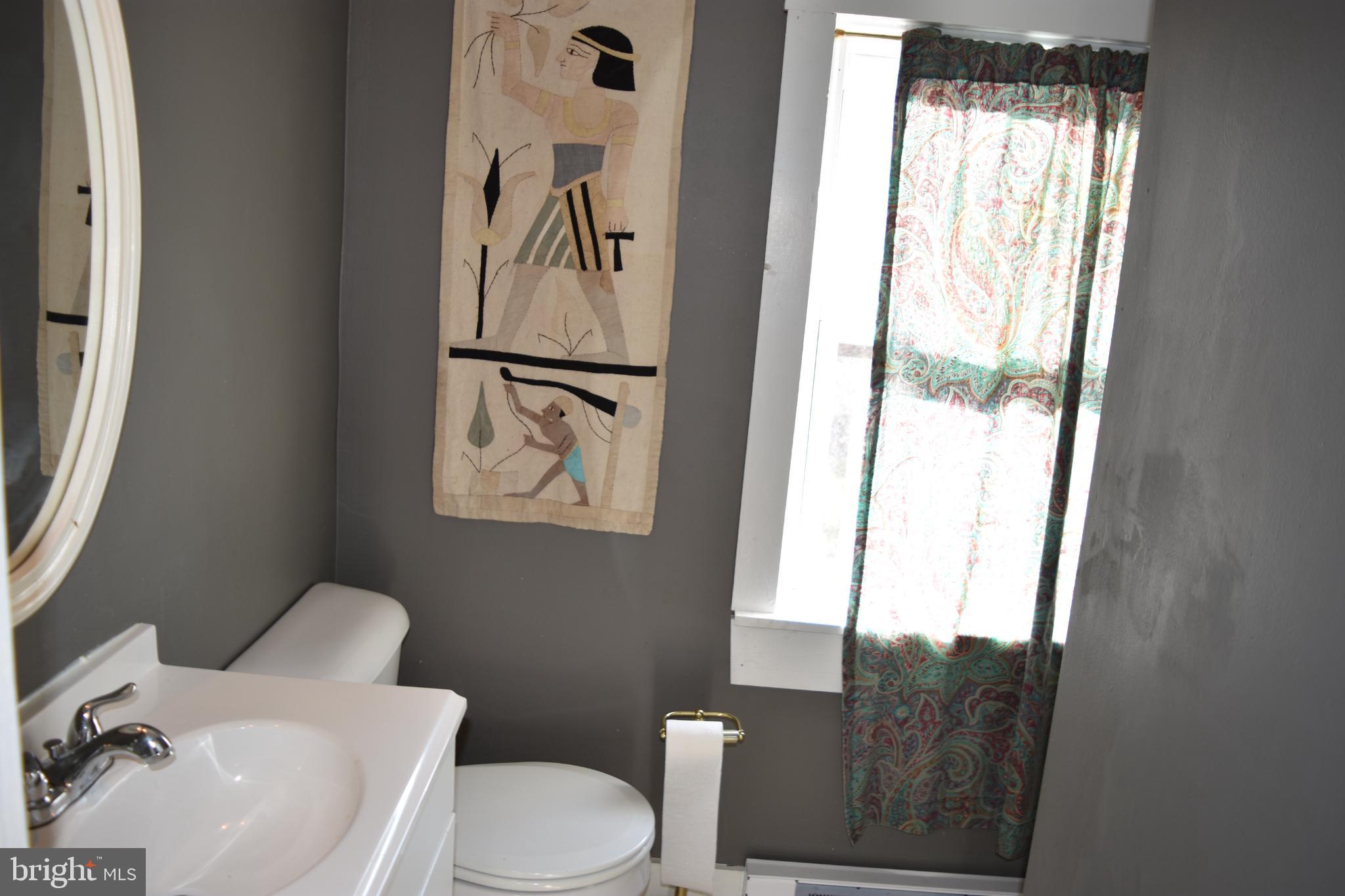 1417 Mountainside Road Berkeley Springs, WV 25411 - Photo 46 of 76 Chic bathroom with artistic flair.