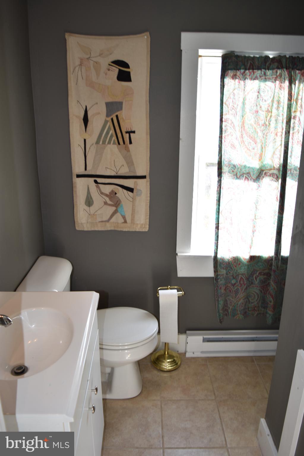 1417 Mountainside Road Berkeley Springs, WV 25411 - Photo 47 of 76 Charming bathroom with artistic flair.