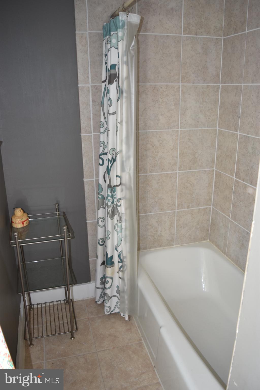 1417 Mountainside Road Berkeley Springs, WV 25411 - Photo 50 of 76 Charming bathroom with elegant tile accents.