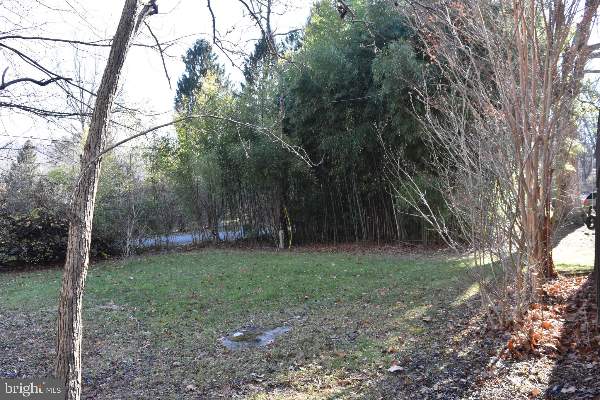 1417 Mountainside Road Berkeley Springs, WV 25411 - Photo 66 of 76 Serene green space framed by trees.