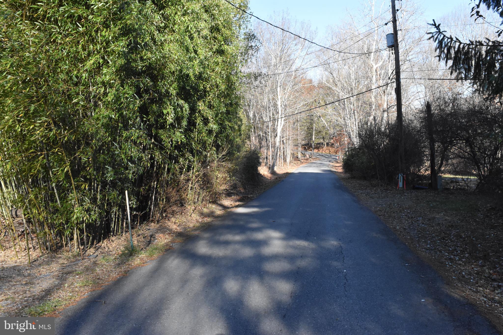 1417 Mountainside Road Berkeley Springs, WV 25411 - Photo 75 of 76 Serene country road lined with greenery.