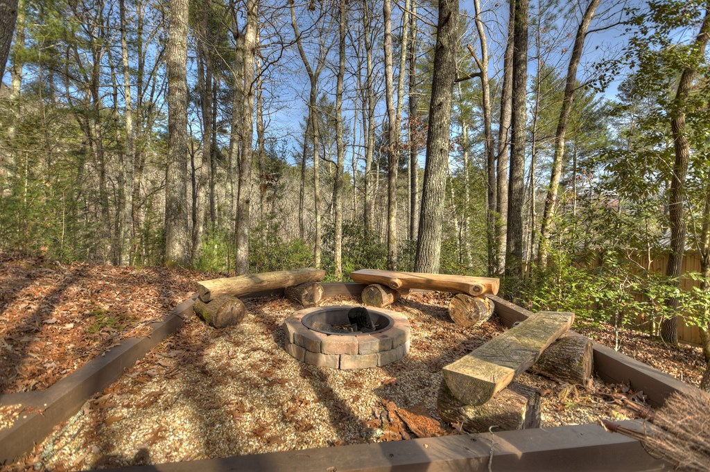 133 Rocky Road Cherry Log, GA 30522 - Photo 45 of 46
