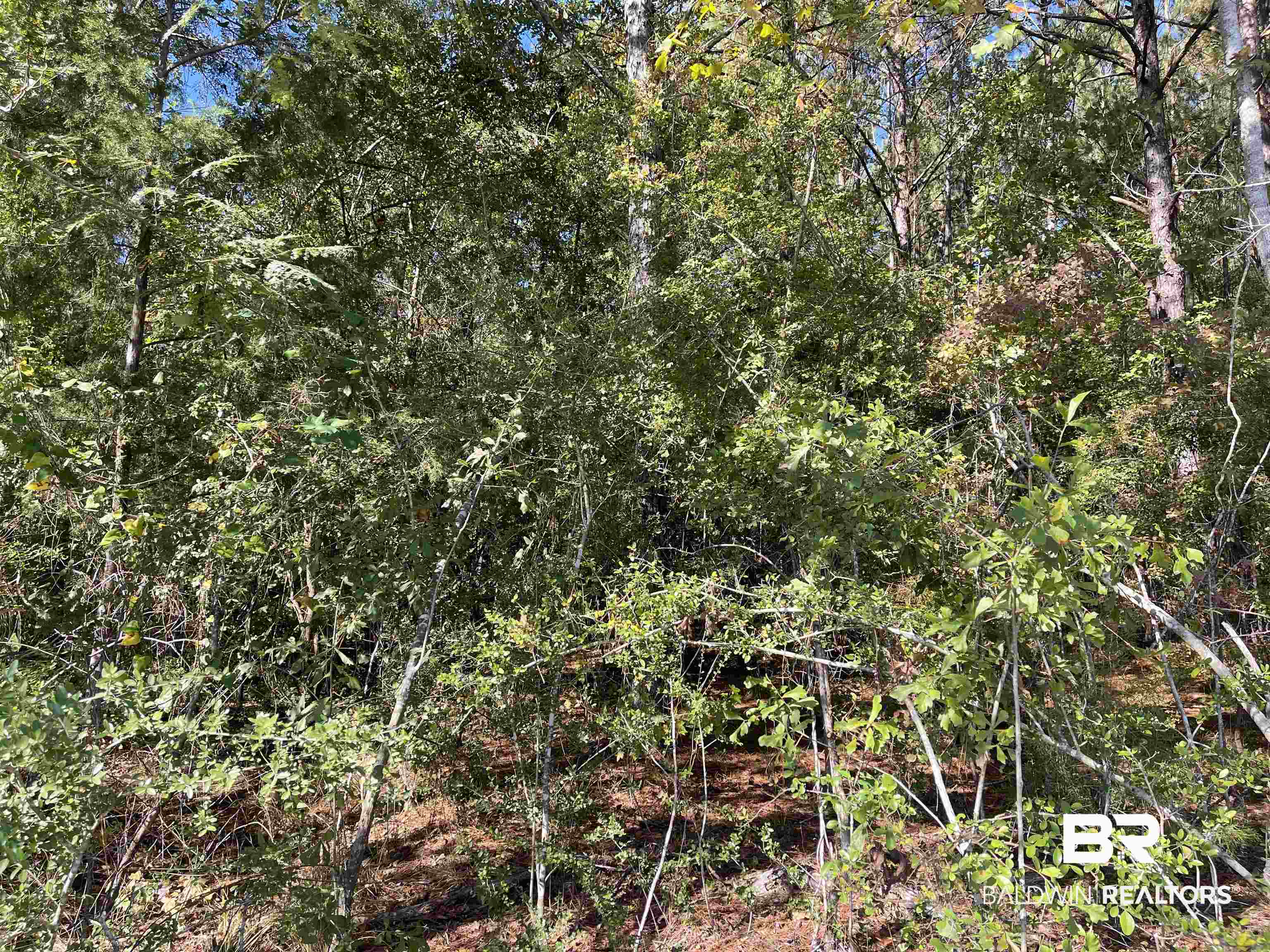 0 Hollinger Road Atmore, AL 36502 - Photo 2 of 3 Gallery Image 2