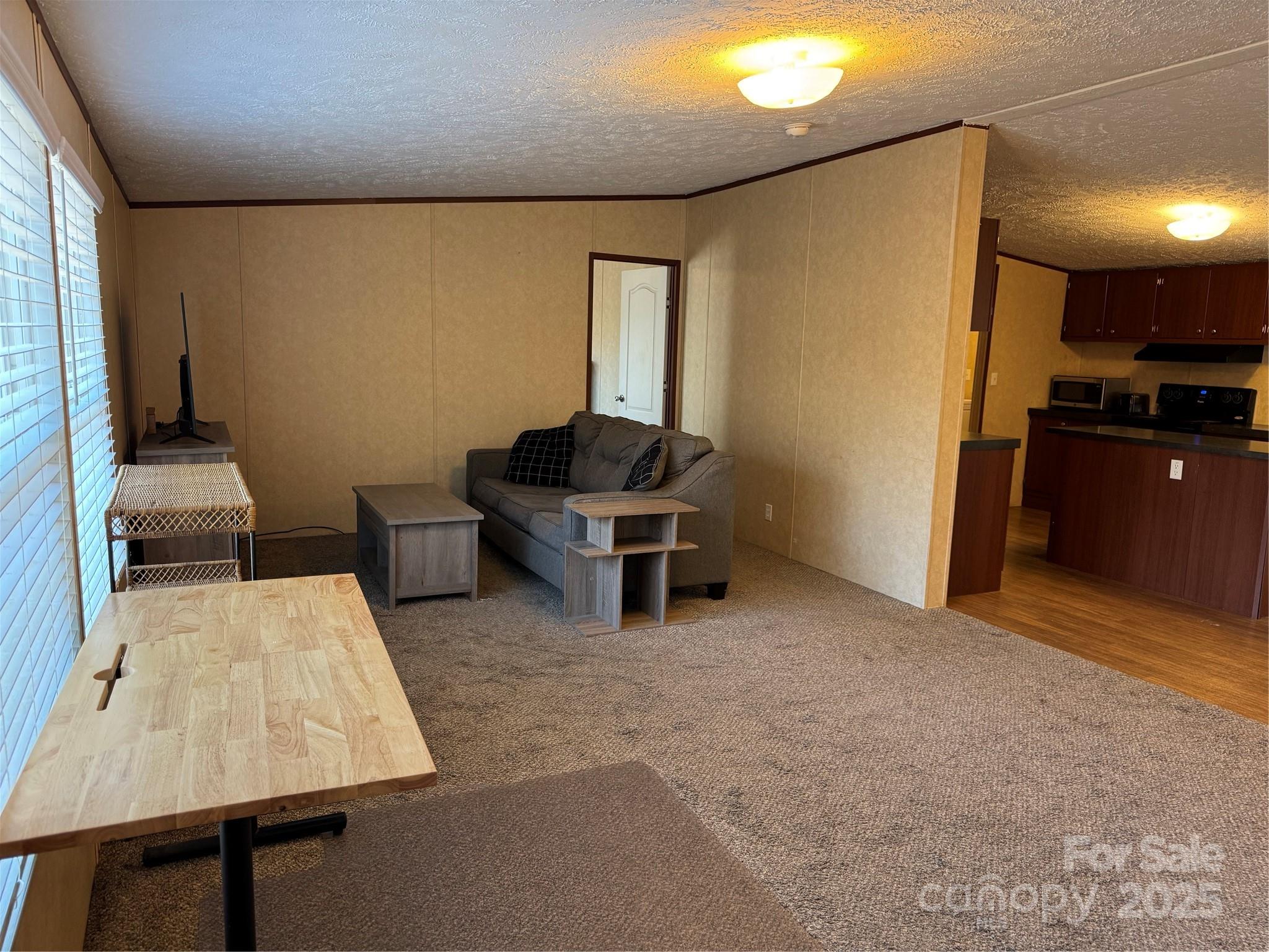 46 Slick Rock Road Leicester, NC 28748 - Photo 3 of 28 Gallery Image 3