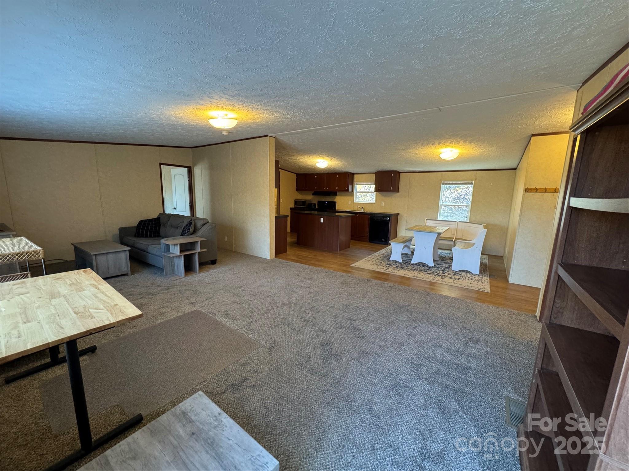 46 Slick Rock Road Leicester, NC 28748 - Photo 4 of 28 Gallery Image 4