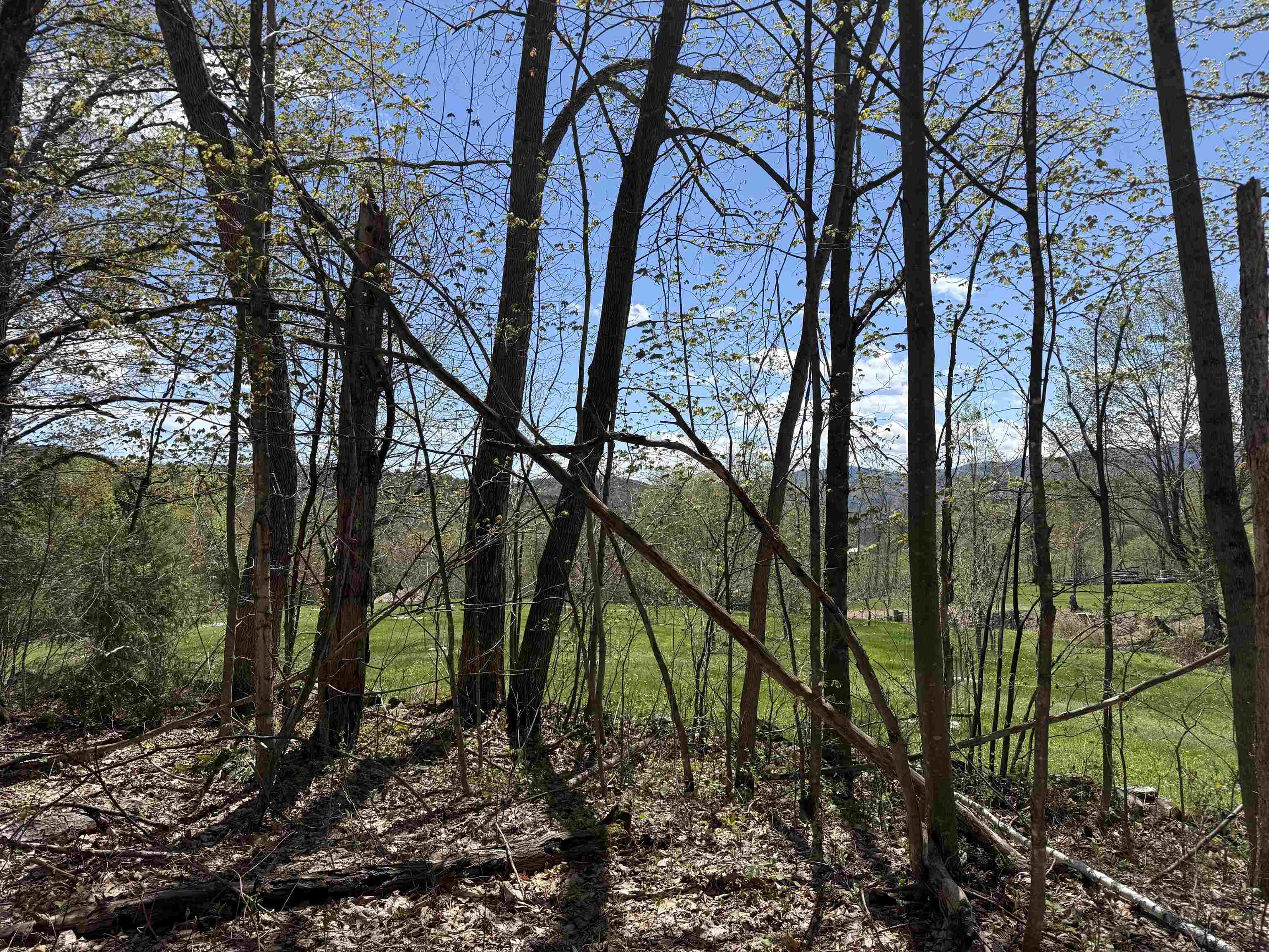 2527 Bent Hill Road Braintree, VT 05060 - Photo 1 of 13 Gallery Image 1