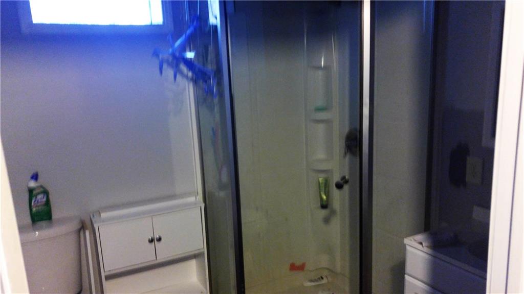 933 East Pike Road Indiana, PA 15701 - Photo 12 of 13 Downstairs bath has a new shower