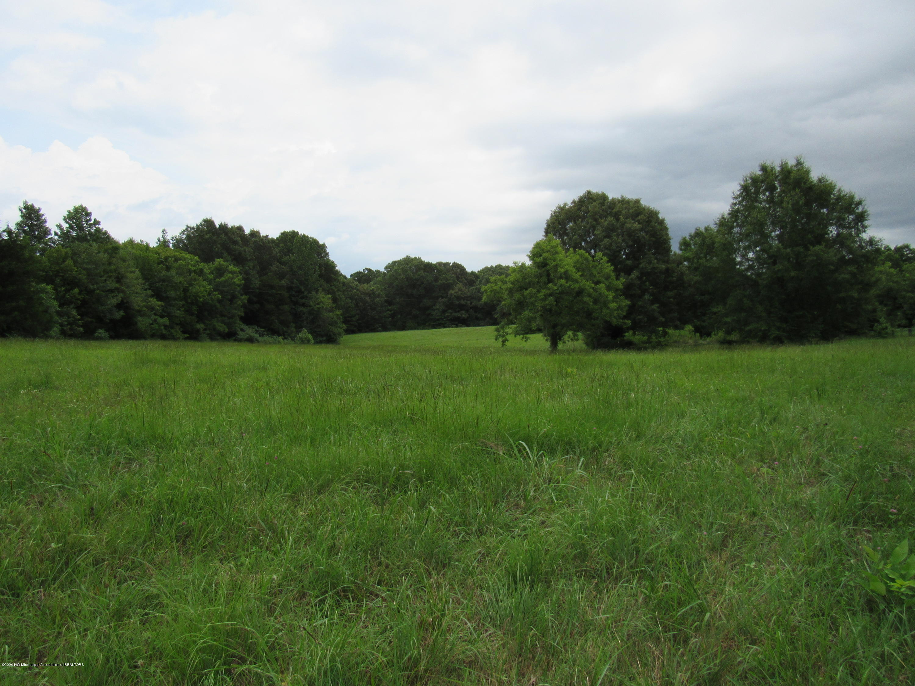 102 Tyson Road Byhalia, MS 38611 - Photo 13 of 14 IMG_0280